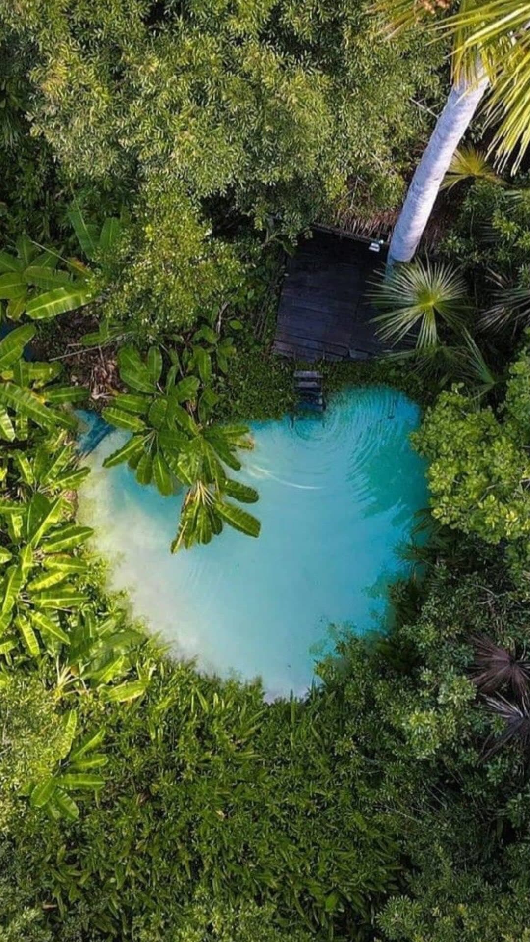 Piscina natural esmeralda vista de cima