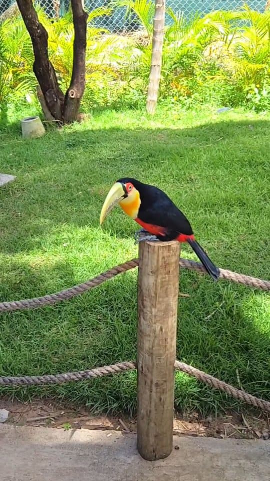 Foz do Iguaçu