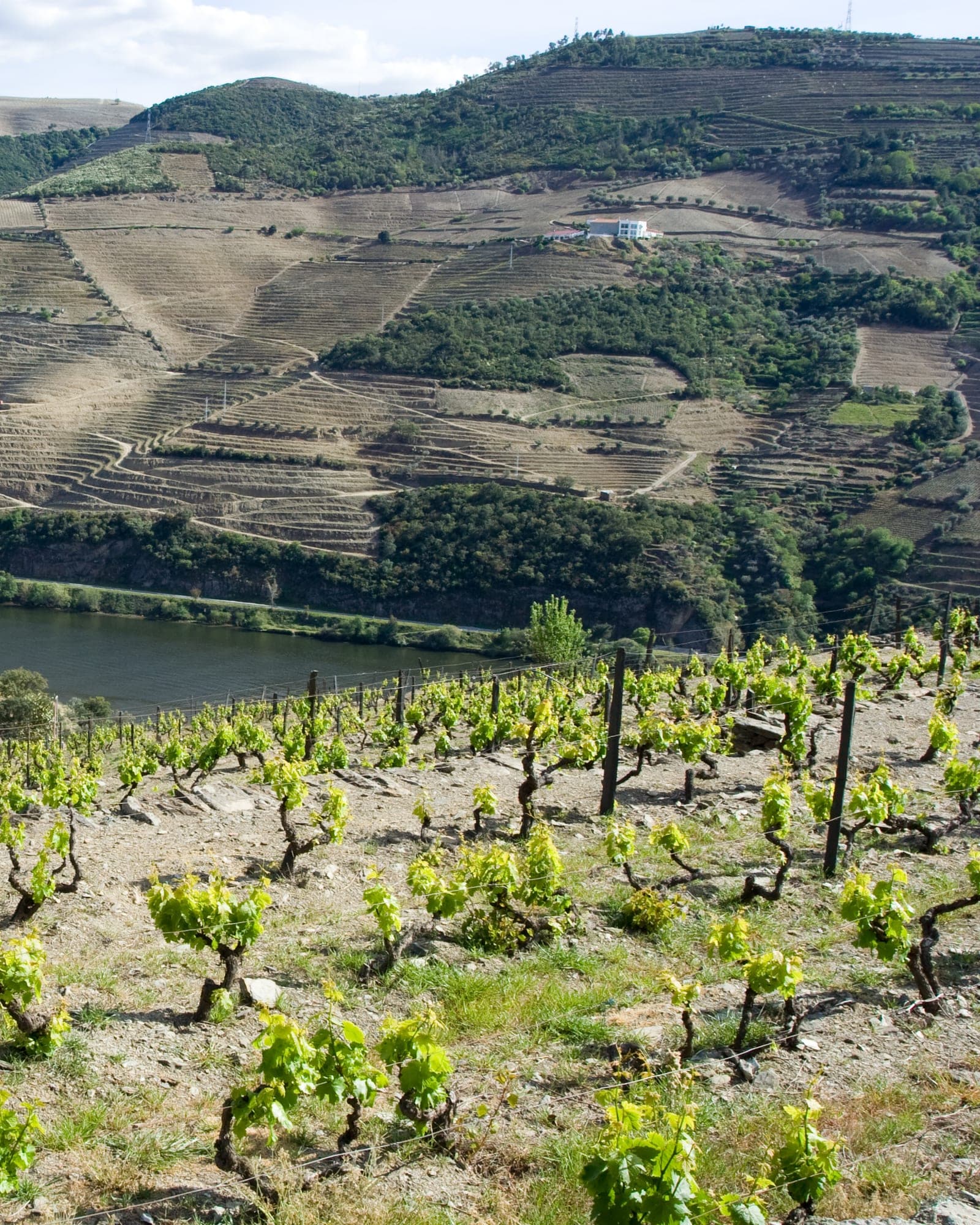 Douro com Lisboa